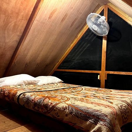 Cabanas Bambutan Palenque Pokoj fotografie