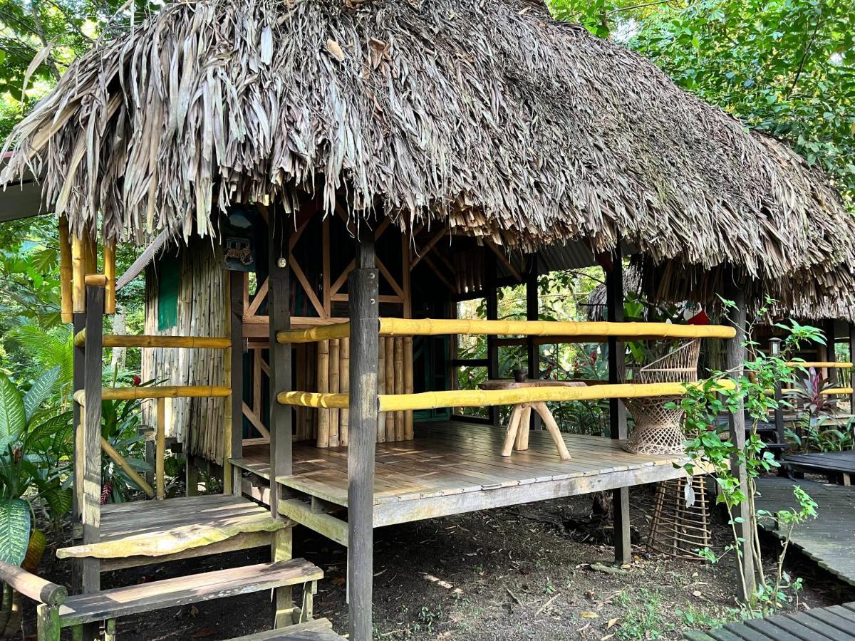 Cabanas Bambutan Palenque Exteriér fotografie