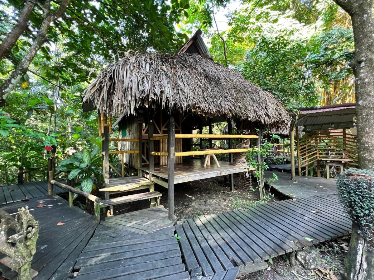 Cabanas Bambutan Palenque Exteriér fotografie