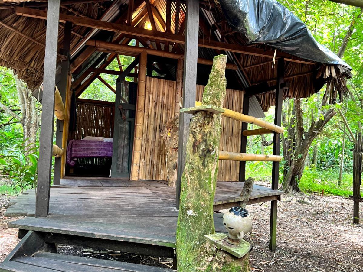 Cabanas Bambutan Palenque Exteriér fotografie
