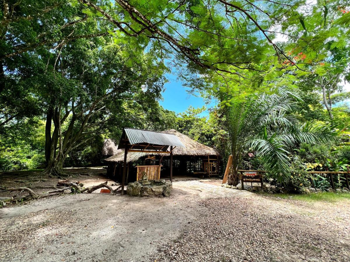 Cabanas Bambutan Palenque Exteriér fotografie