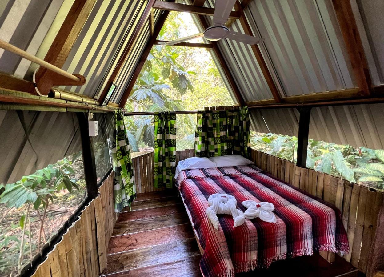 Cabanas Bambutan Palenque Exteriér fotografie