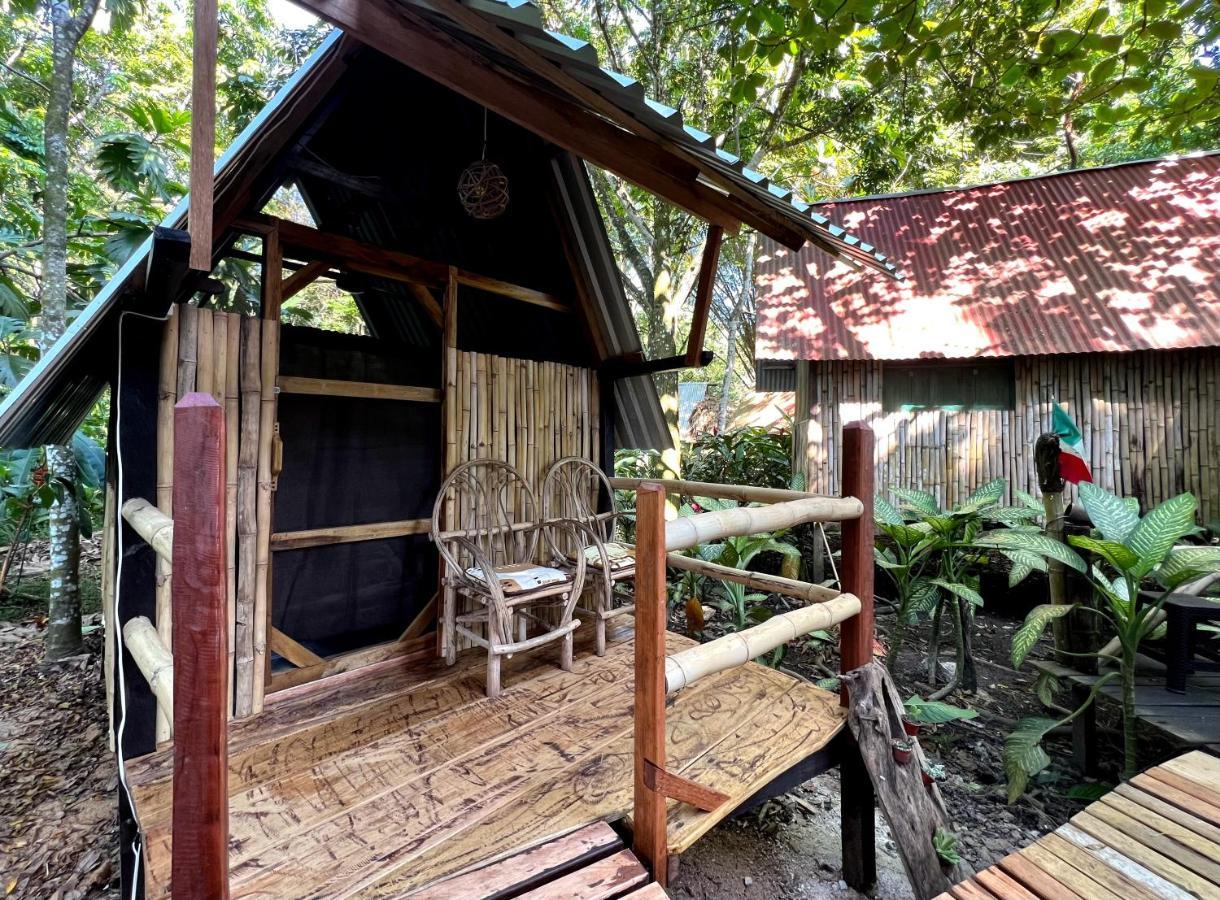 Cabanas Bambutan Palenque Exteriér fotografie