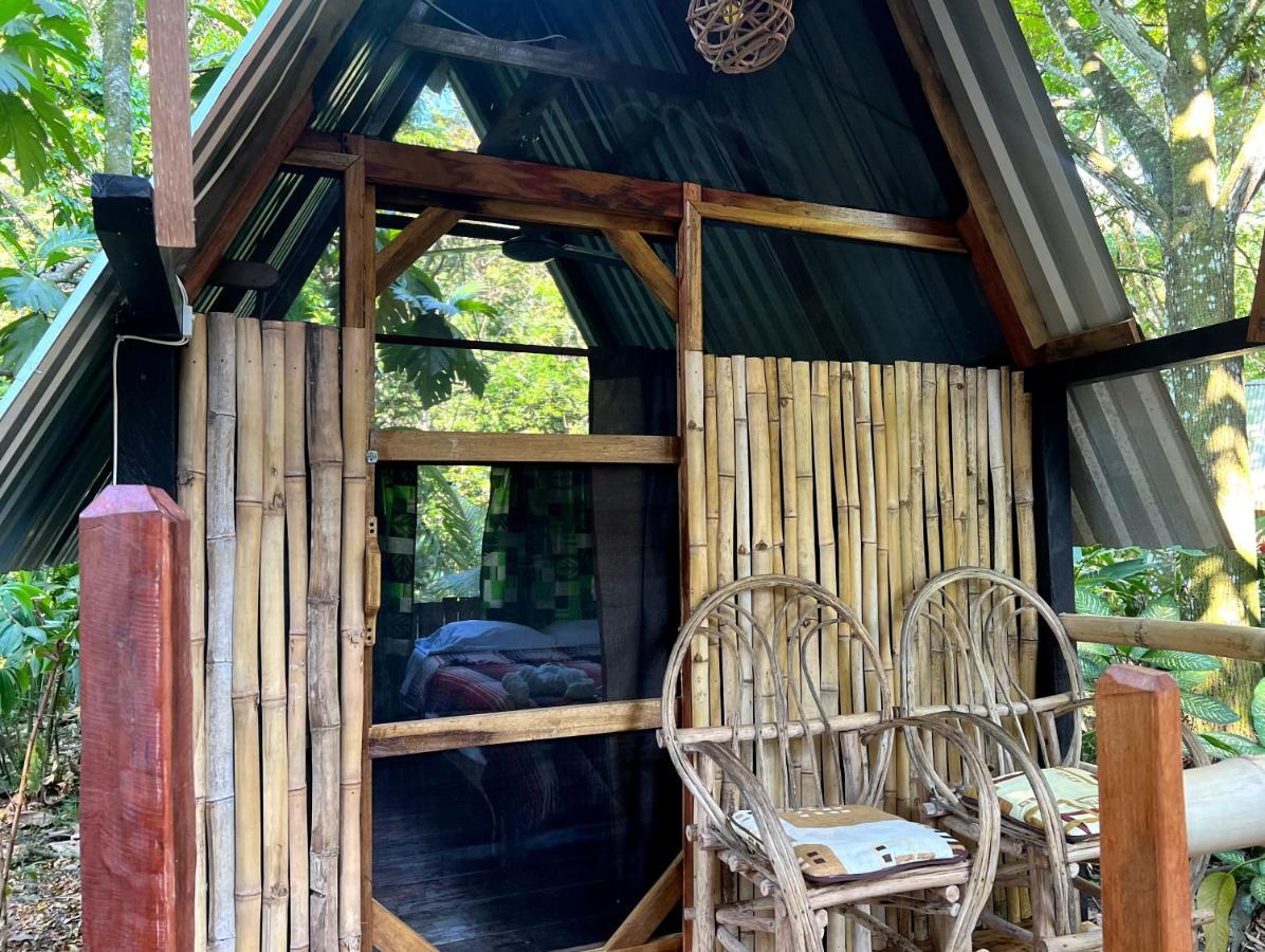 Cabanas Bambutan Palenque Exteriér fotografie