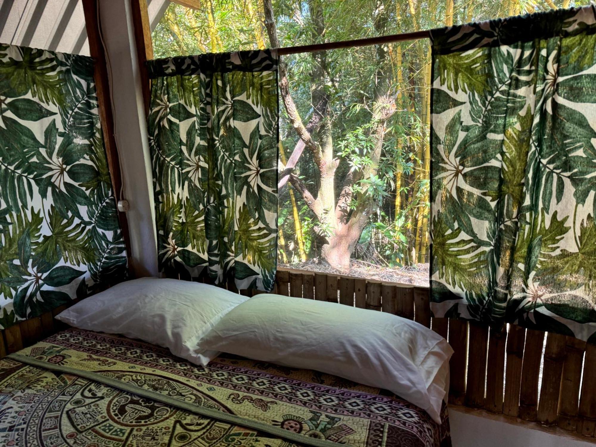 Cabanas Bambutan Palenque Pokoj fotografie