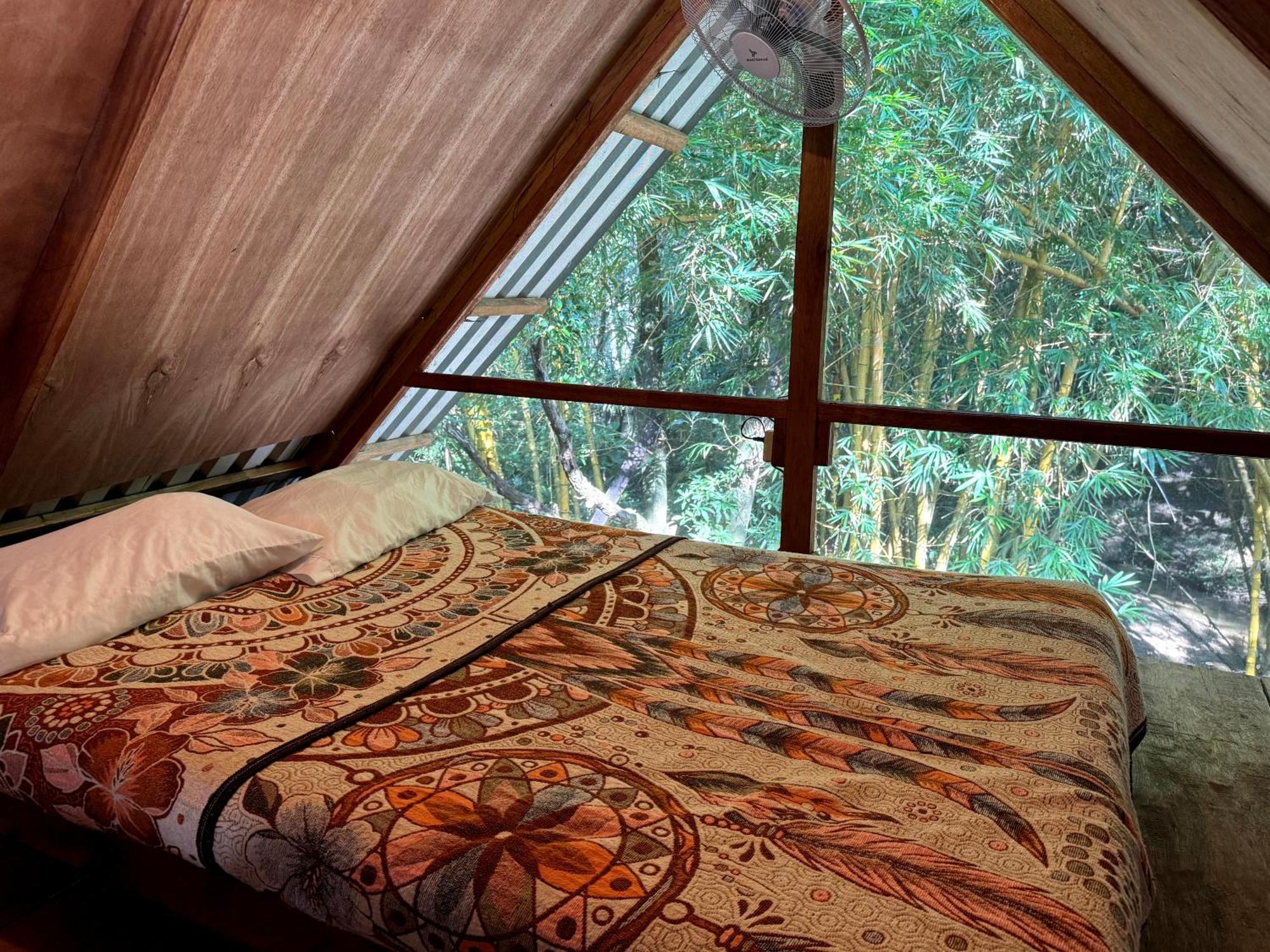 Cabanas Bambutan Palenque Pokoj fotografie