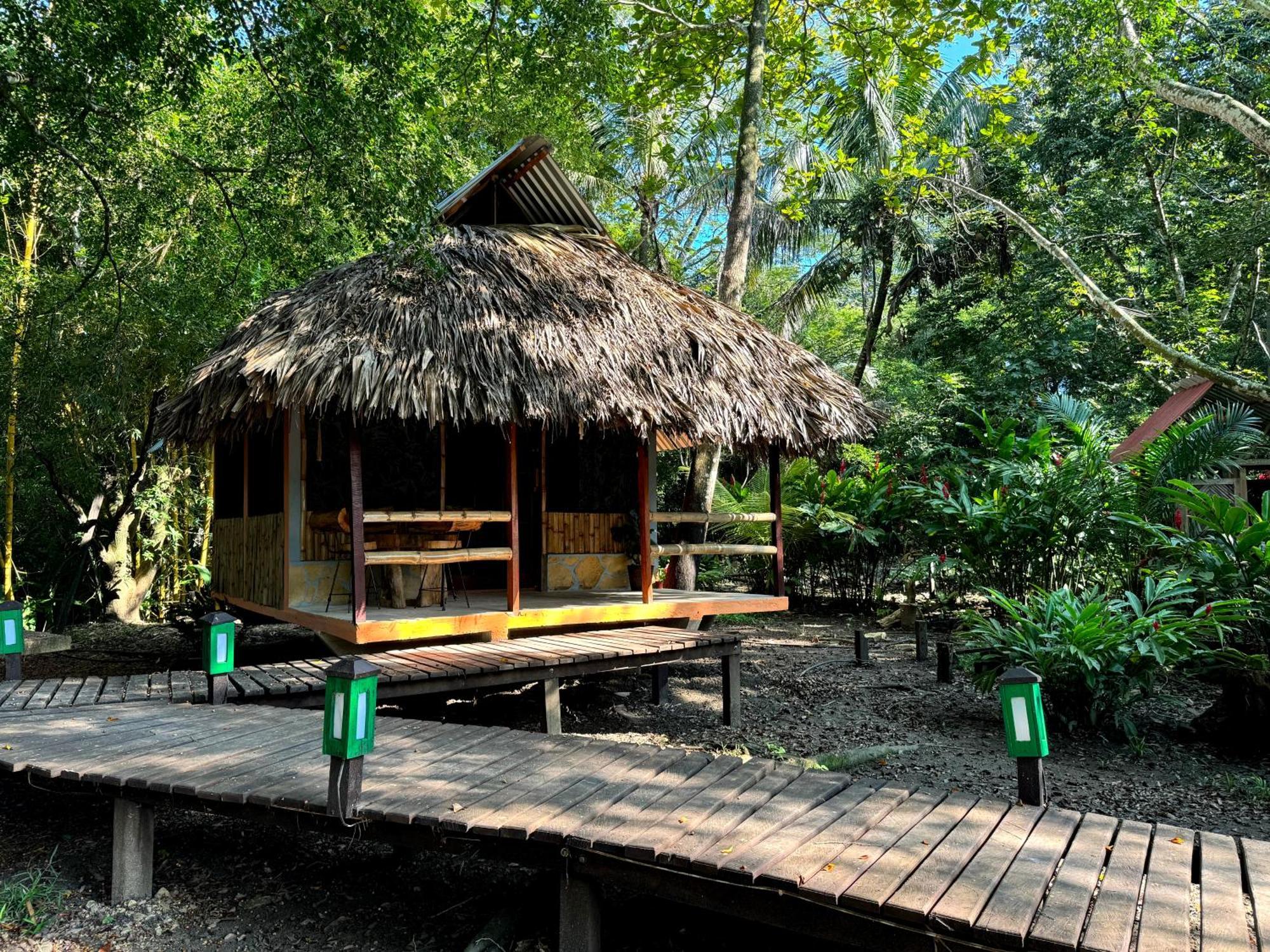Cabanas Bambutan Palenque Pokoj fotografie