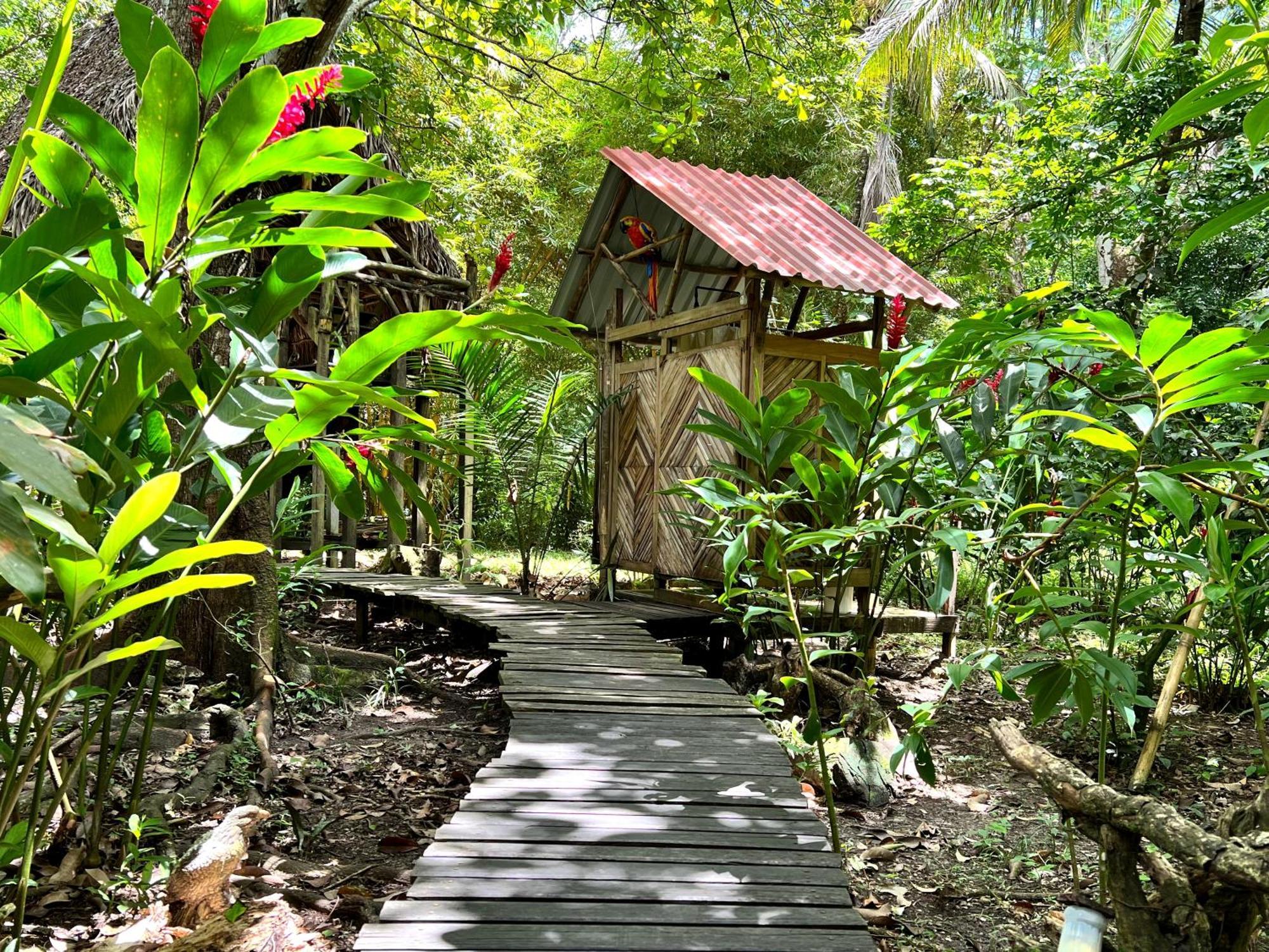 Cabanas Bambutan Palenque Pokoj fotografie